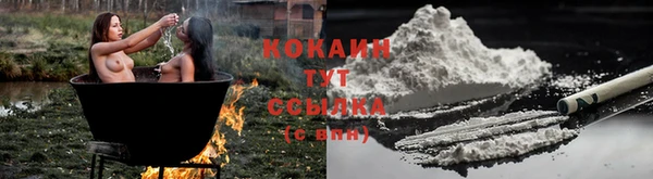 кокс Алзамай