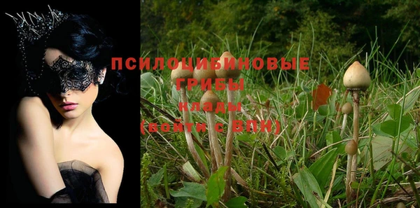 дживик Алексин