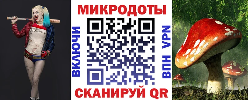Псилоцибиновые грибы Psilocybine cubensis  Калининск 
